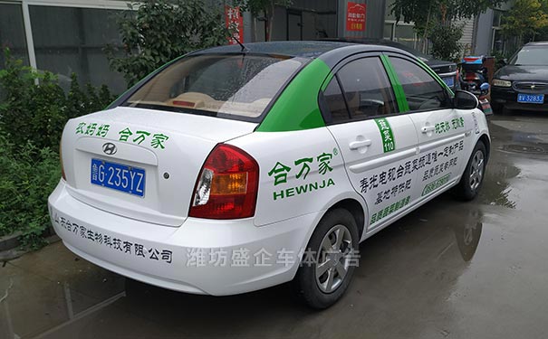 私家车车体广告设计制作